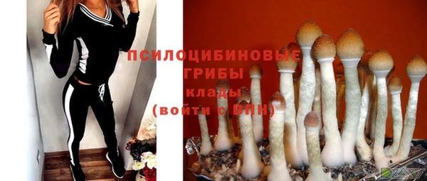 спайс Алексин