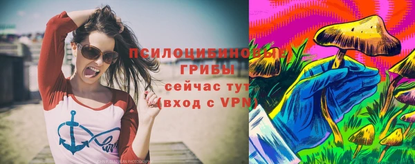 спайс Алексин