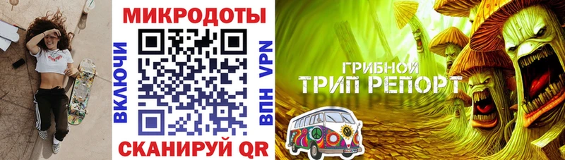 где купить наркотик Бийск Псилоцибиновые грибы MAGIC MUSHROOMS