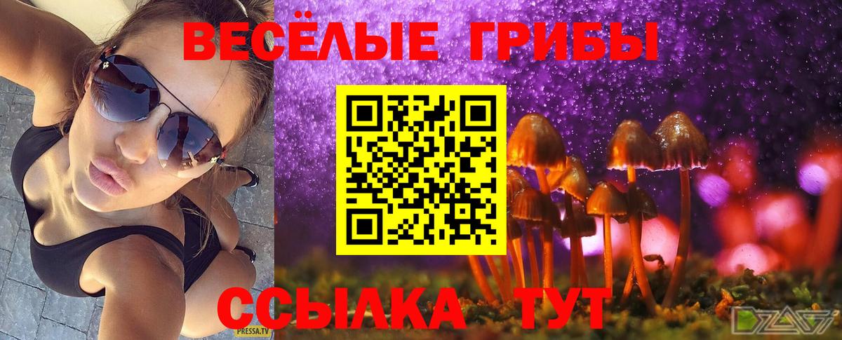 наркота  Псилоцибиновые грибы Psilocybine cubensis  Галлюциногенные грибы прущие грибы  Вход с VPN  Бийск 