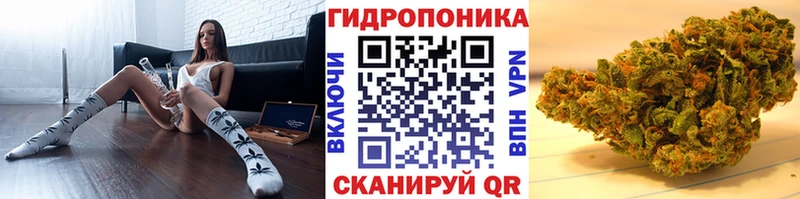 Канабис планчик  продажа наркотиков  blacksprut зеркало  Бийск 